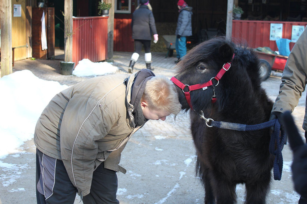 Ein Pony berührt mit seiner Schnauze die Haare von einem Kind